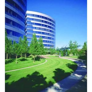 1_0_additional image.jpg image